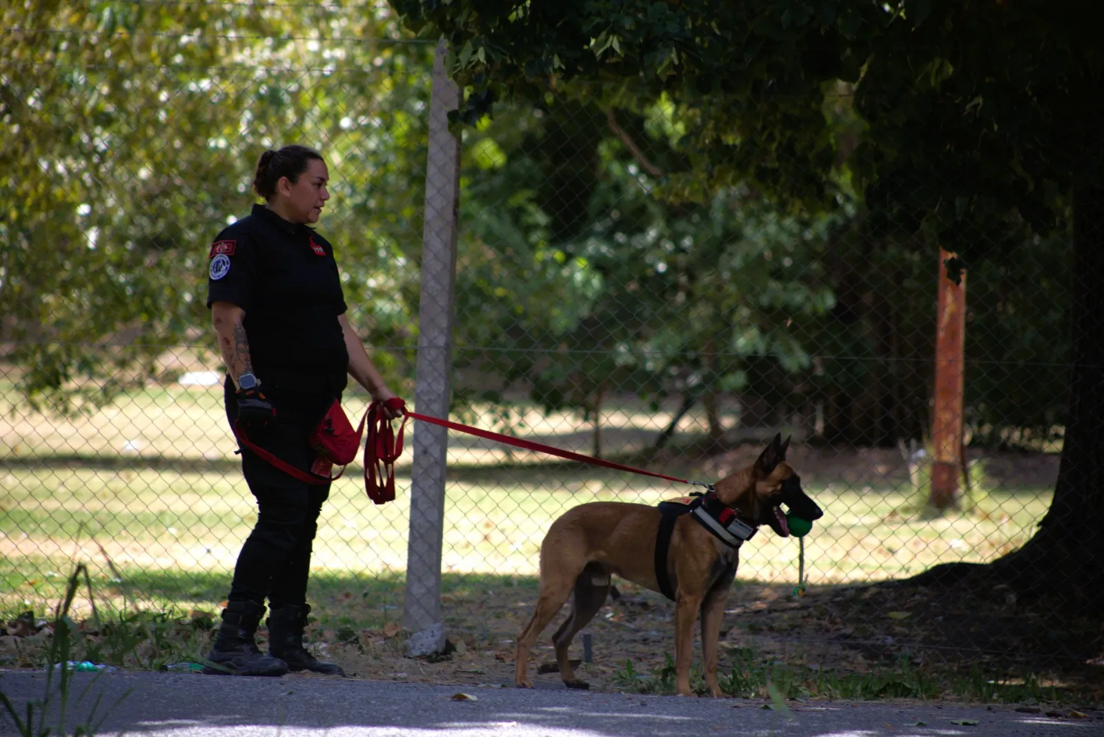 Unidad K9